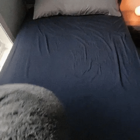 The Love Blanket™ - Waterproof Intimacy Blanket